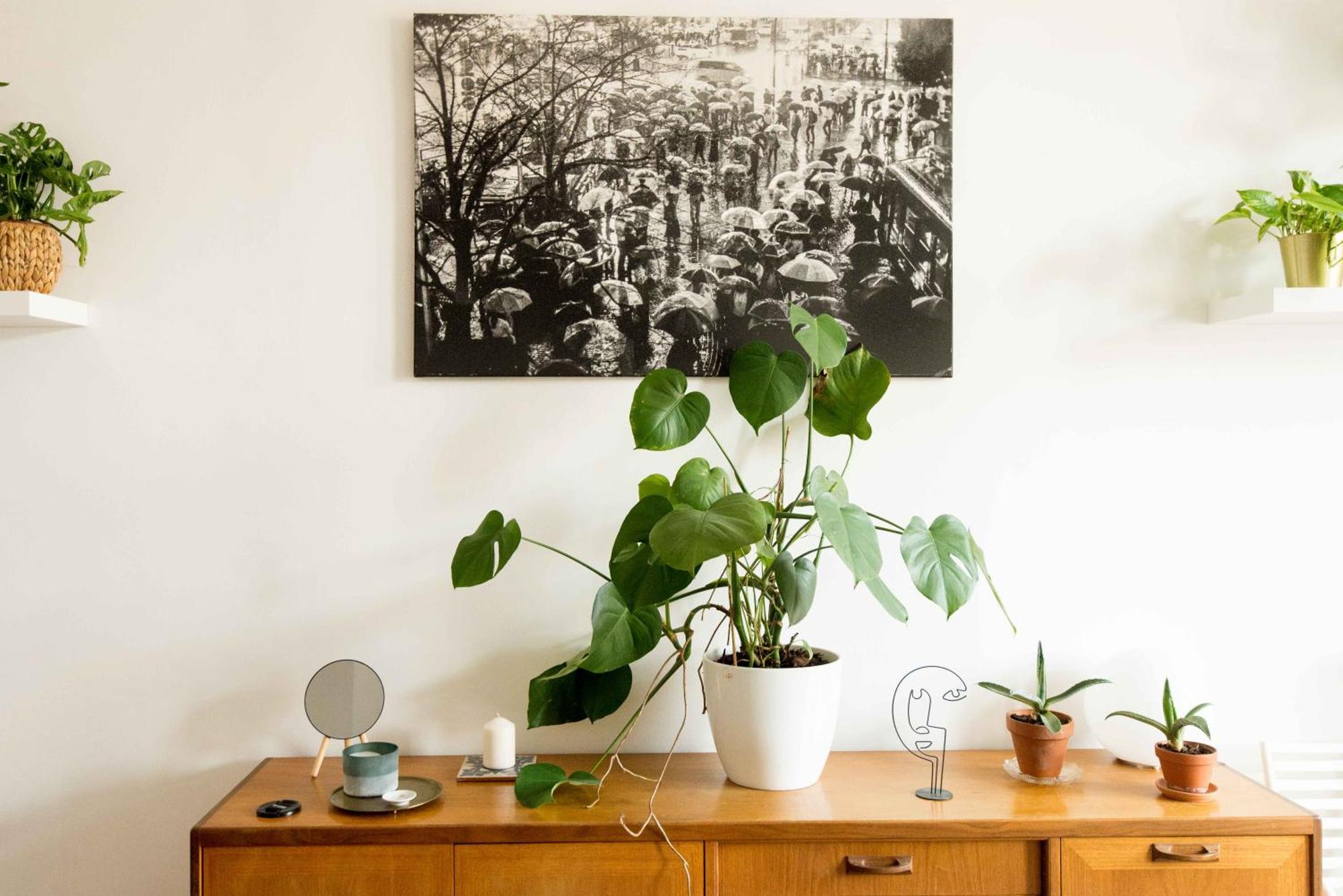 多哈尼设计公寓 布达佩斯 客房 照片